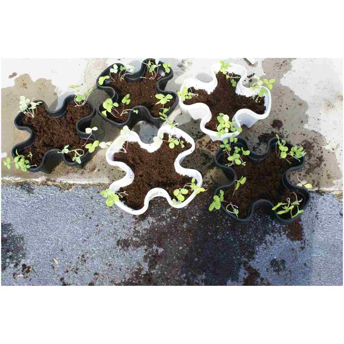 Mr. Stacky Multiple Color (Black + White) 5 Layer 13inch Vertical Planter