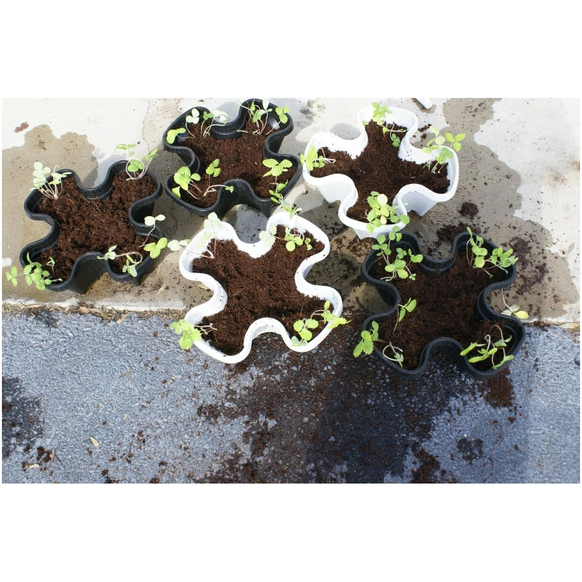 Mr. Stacky Multiple Color (Black + White) 5 Layer 13inch Vertical Planter