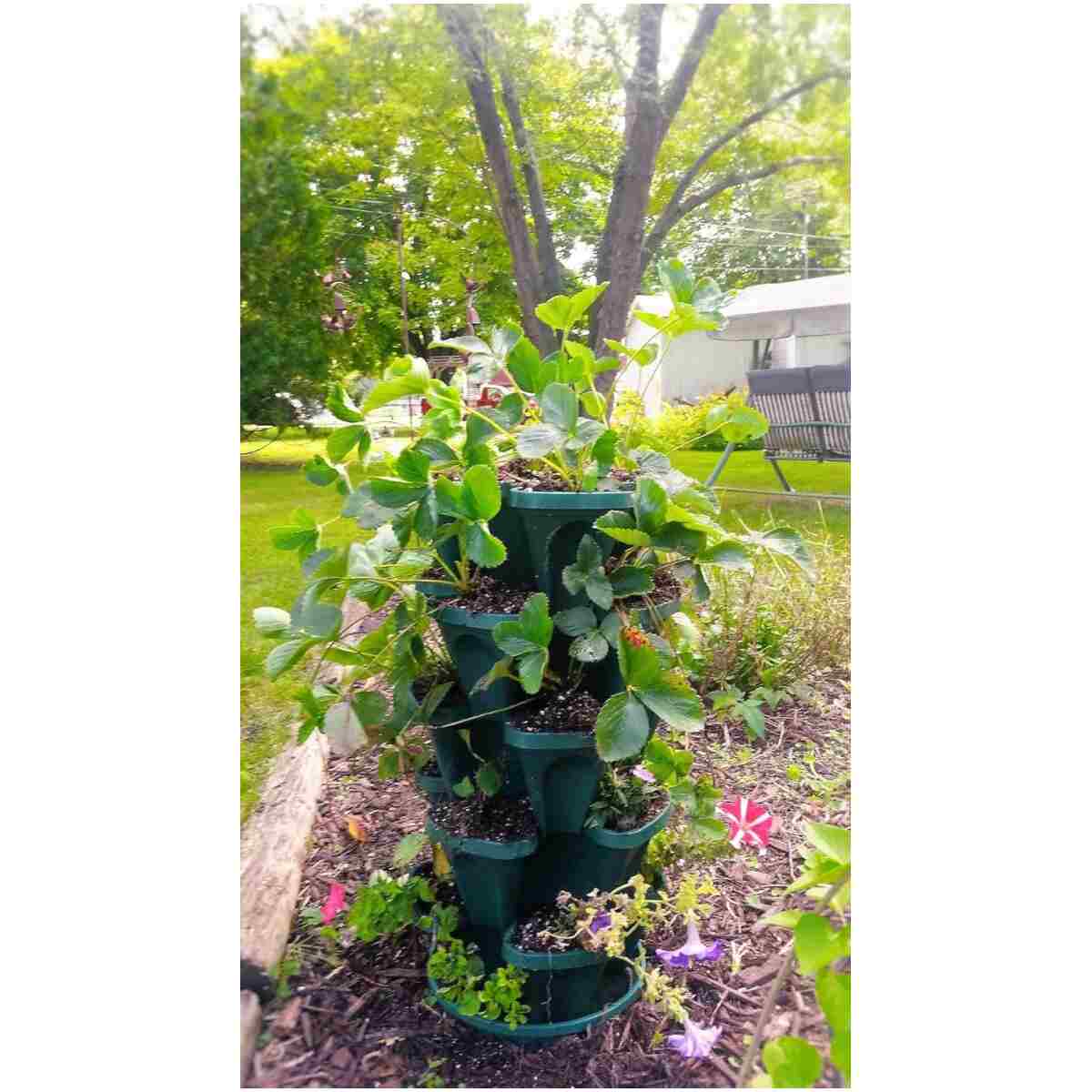 Mr. Stacky Multiple Color (Black + White) 5 Layer 13inch Vertical Planter