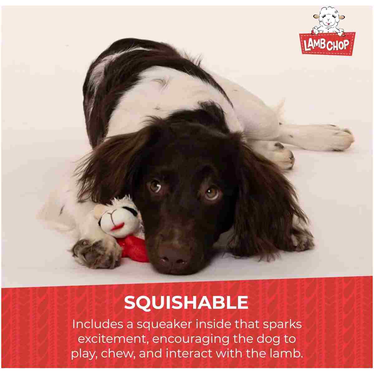 Multipet Lamb Chop Dog Plush Toy - Squeaky Toy for All Dogs - Extra Soft Plush - Stuffed Animal Dog Toy for Cuddling & Playing - Cute Pet Toy (6", Cream)
