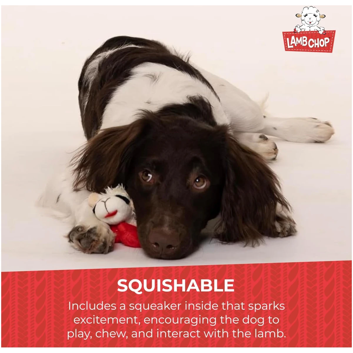 Multipet Lamb Chop Dog Plush Toy - Squeaky Toy for All Dogs - Extra Soft Plush - Stuffed Animal Dog Toy for Cuddling & Playing - Cute Pet Toy (6", Cream)
