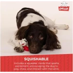 Multipet Lamb Chop Dog Plush Toy - Squeaky Toy for All Dogs - Extra Soft Plush - Stuffed Animal Dog Toy for Cuddling & Playing - Cute Pet Toy (6", Cream)