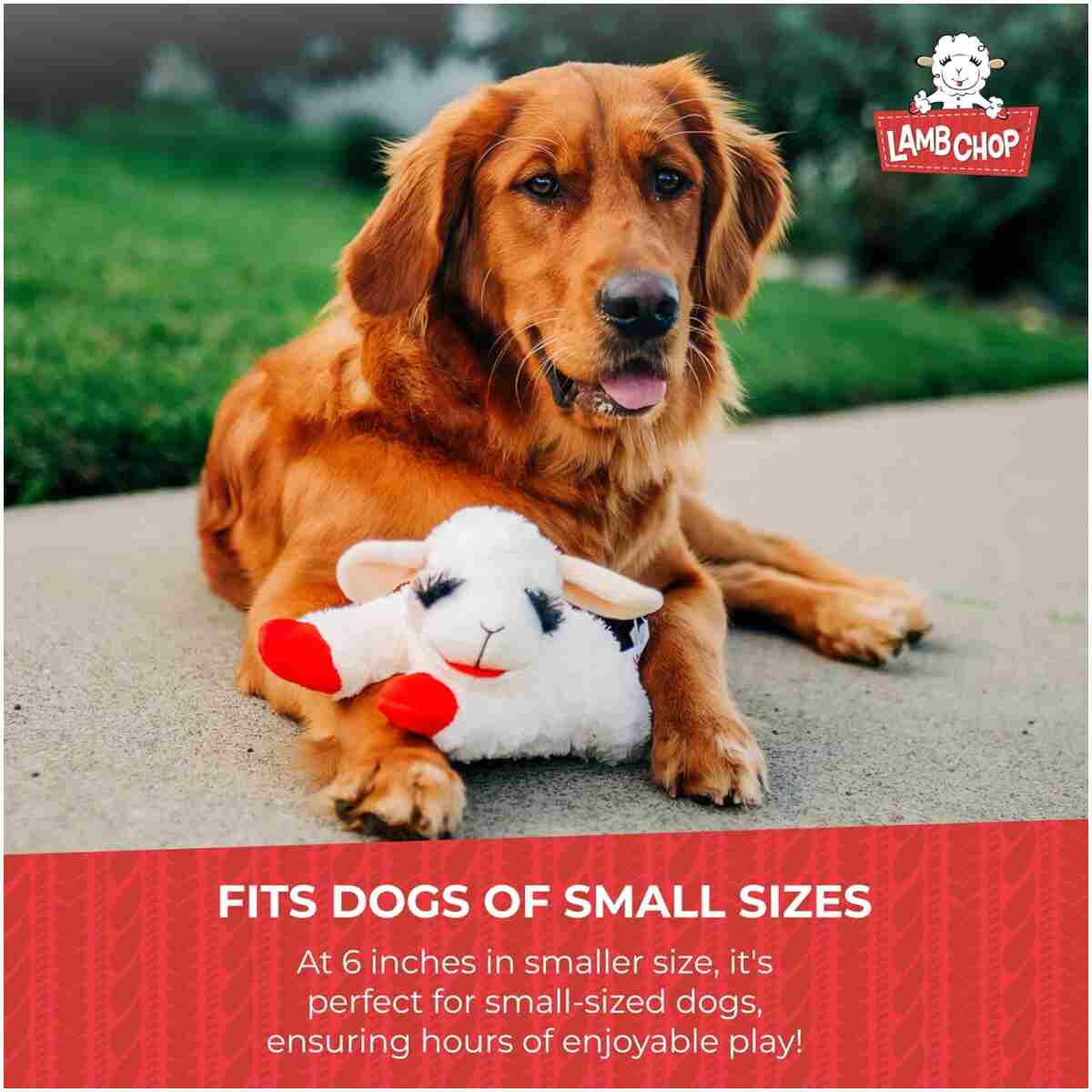 Multipet Lamb Chop Dog Plush Toy - Squeaky Toy for All Dogs - Extra Soft Plush - Stuffed Animal Dog Toy for Cuddling & Playing - Cute Pet Toy (6", Cream)