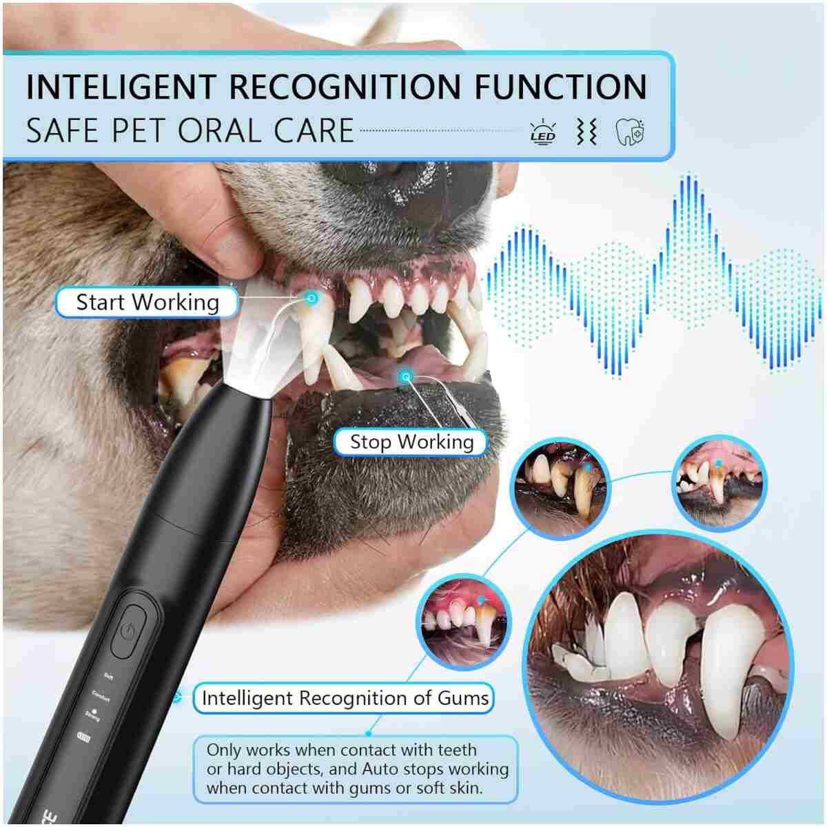 NEENCE Dog Tartar Remover for Teeth, Dog Tooth Brushing Kit with LED Light, Pet Ultrasonic Cleaner, Teeth Cleaning for Pet Dental Care, Black