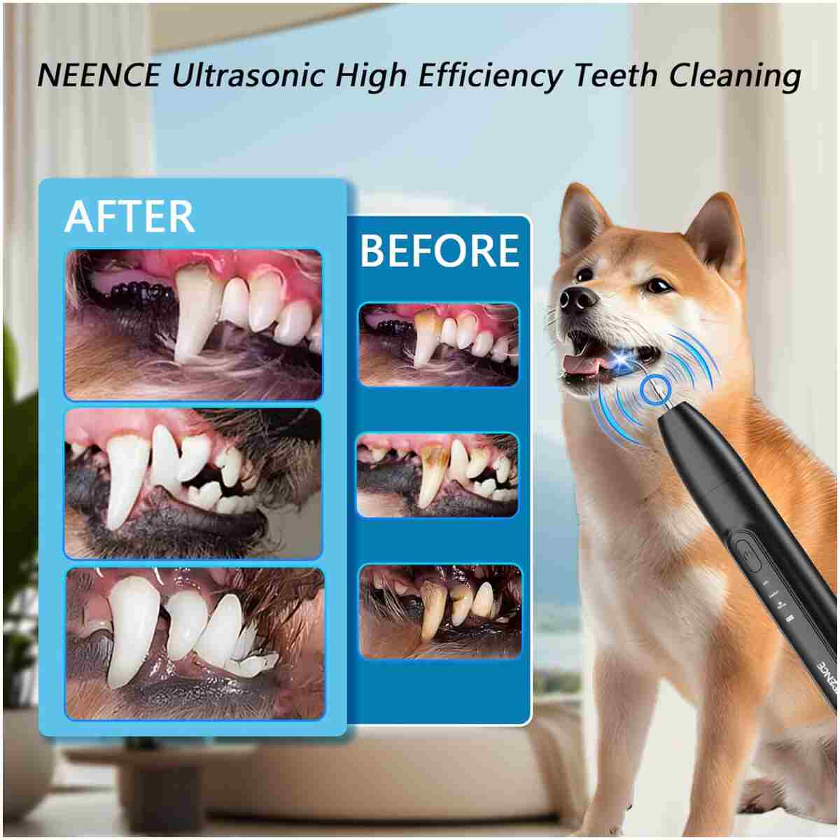 NEENCE Dog Tartar Remover for Teeth, Dog Tooth Brushing Kit with LED Light, Pet Ultrasonic Cleaner, Teeth Cleaning for Pet Dental Care, Black