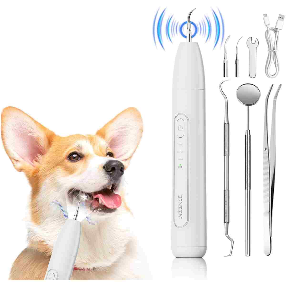 NEENCE Dog Tartar Remover for Teeth, Dog Tooth Brushing Kit with LED Light, Pet Ultrasonic Cleaner, Teeth Cleaning for Pet Dental Care, Black
