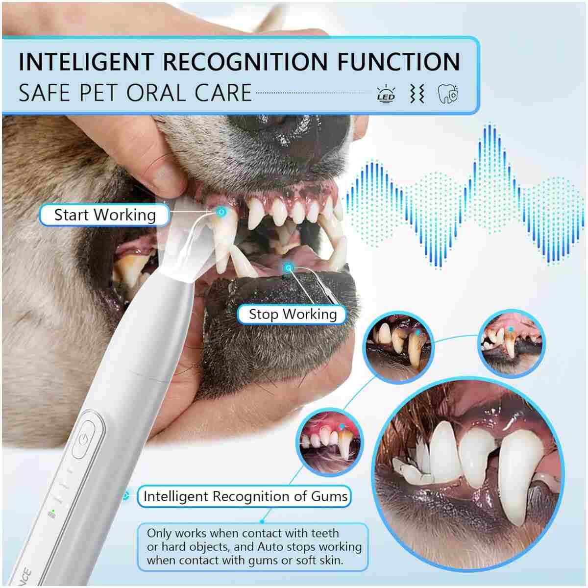 NEENCE Dog Tartar Remover for Teeth, Dog Tooth Brushing Kit with LED Light, Pet Ultrasonic Cleaner, Teeth Cleaning for Pet Dental Care, Black