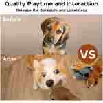 Nocciola Dog Squeaky Toys, 5 PCS Crinkle Plush Dog Toys, No Stuffing Dog Toys for Small Medium Large Dogs, Stuffless Puppy Toys for Boredom