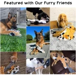 Nocciola Dog Squeaky Toys, 5 PCS Crinkle Plush Dog Toys, No Stuffing Dog Toys for Small Medium Large Dogs, Stuffless Puppy Toys for Boredom