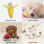 Nocciola Dog Squeaky Toys, Plush Small Dog Toys for Dogs, Stuffed Dog Toys with Squeakers,12 pcs Puppy Toys with a Carrying Bag for Small Medium Size Dogs
