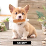 Nocciola Dog Squeaky Toys, Plush Small Dog Toys for Dogs, Stuffed Dog Toys with Squeakers,12 pcs Puppy Toys with a Carrying Bag for Small Medium Size Dogs