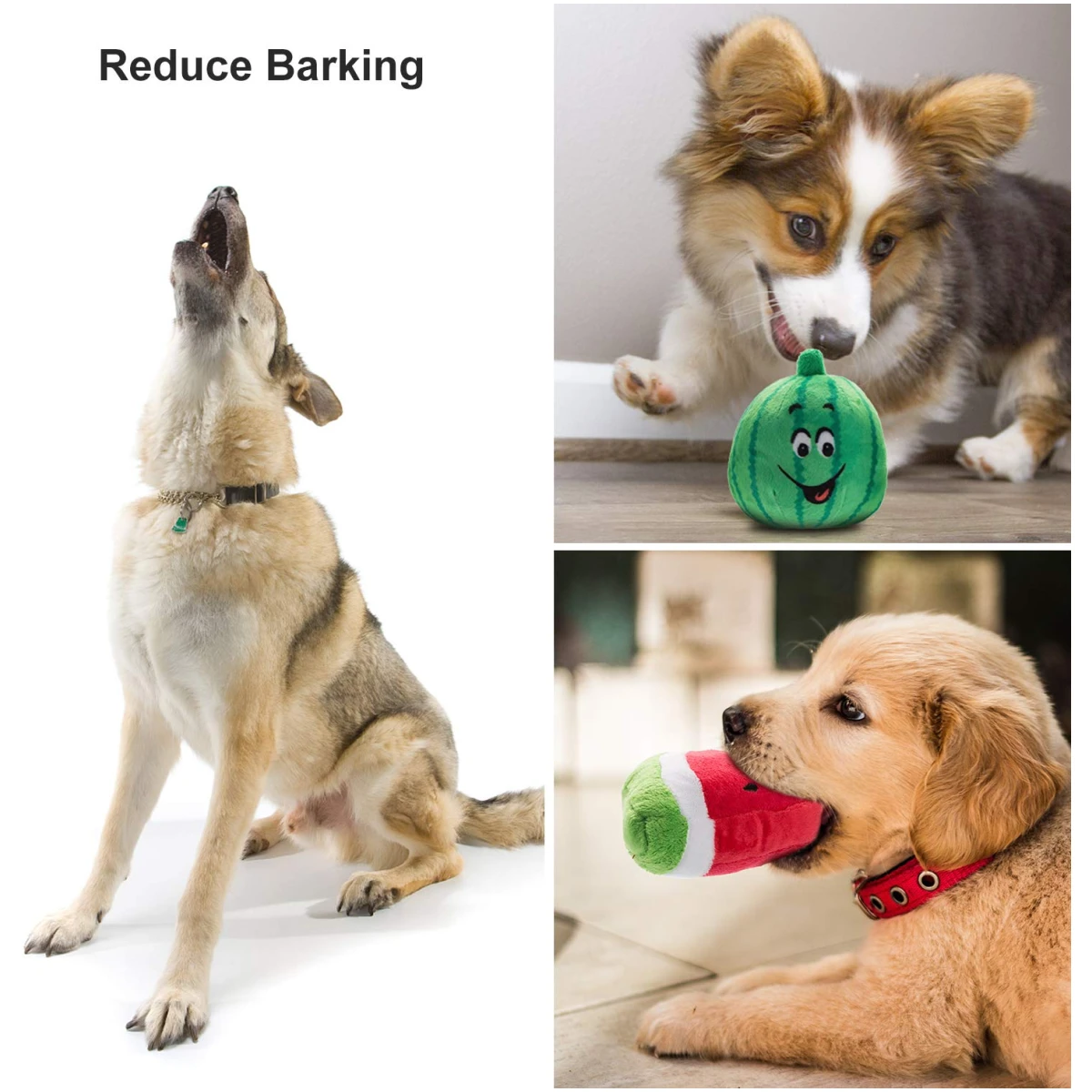 Nocciola Dog Squeaky Toys, Plush Small Dog Toys for Dogs, Stuffed Dog Toys with Squeakers,12 pcs Puppy Toys with a Carrying Bag for Small Medium Size Dogs