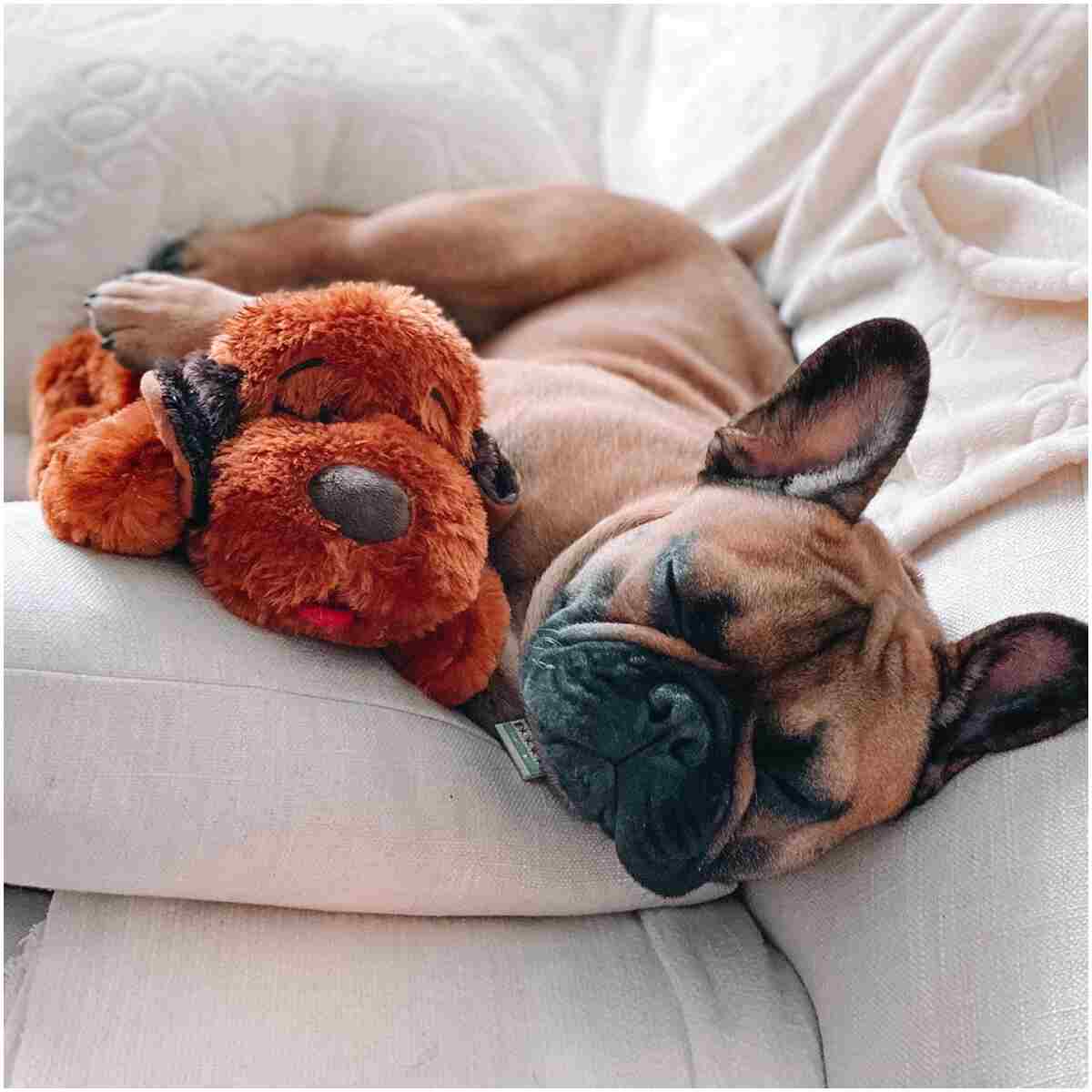 Original Snuggle Puppy Heartbeat Stuffed Dog Toy. Puppy Toy for Anxiety Relief, Calming Aid, and Comfort Toy for Behavioral Training in Brown