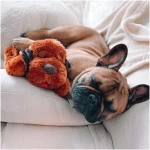 Original Snuggle Puppy Heartbeat Stuffed Dog Toy. Puppy Toy for Anxiety Relief, Calming Aid, and Comfort Toy for Behavioral Training in Brown