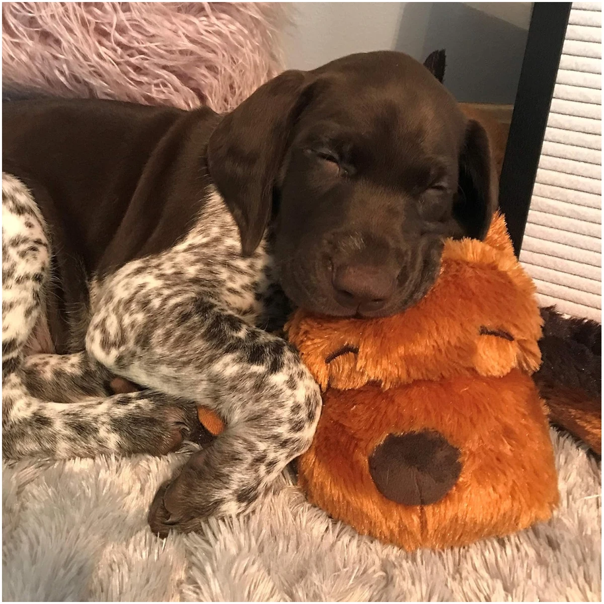 Original Snuggle Puppy Heartbeat Stuffed Dog Toy. Puppy Toy for Anxiety Relief, Calming Aid, and Comfort Toy for Behavioral Training in Brown