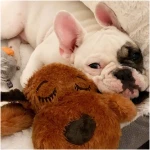 Original Snuggle Puppy Heartbeat Stuffed Dog Toy. Puppy Toy for Anxiety Relief, Calming Aid, and Comfort Toy for Behavioral Training in Brown