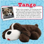 Original Snuggle Puppy Heartbeat Stuffed Toy for Dogs. Pet Anxiety Relief and Calming Aid, Comfort Toy for Behavioral Training in Black