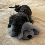 Original Snuggle Puppy Toys - Heartbeat Puppy for Dogs - Dog Plush for Anxiety Relief, Calming Aid, and Comfort Toy for Behavioral Training in Biscuit in Gray
