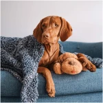 Original Snuggle Puppy Toys - Heartbeat Puppy for Dogs - Dog Plush for Anxiety Relief, Calming Aid, and Comfort Toy for Behavioral Training in Biscuit