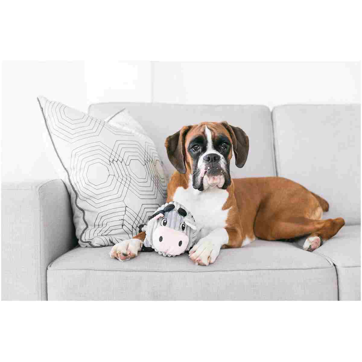 Outward Hound Fattiez Pig Plush Squeaky Dog Toy, Small