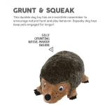 Outward Hound, Hedgehogz Plush Dog Toy, Medium