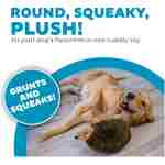 Outward Hound, Hedgehogz Plush Dog Toy, Medium