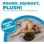 Outward Hound, Hedgehogz Plush Dog Toy, Medium