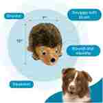 Outward Hound, Hedgehogz Plush Dog Toy, Medium