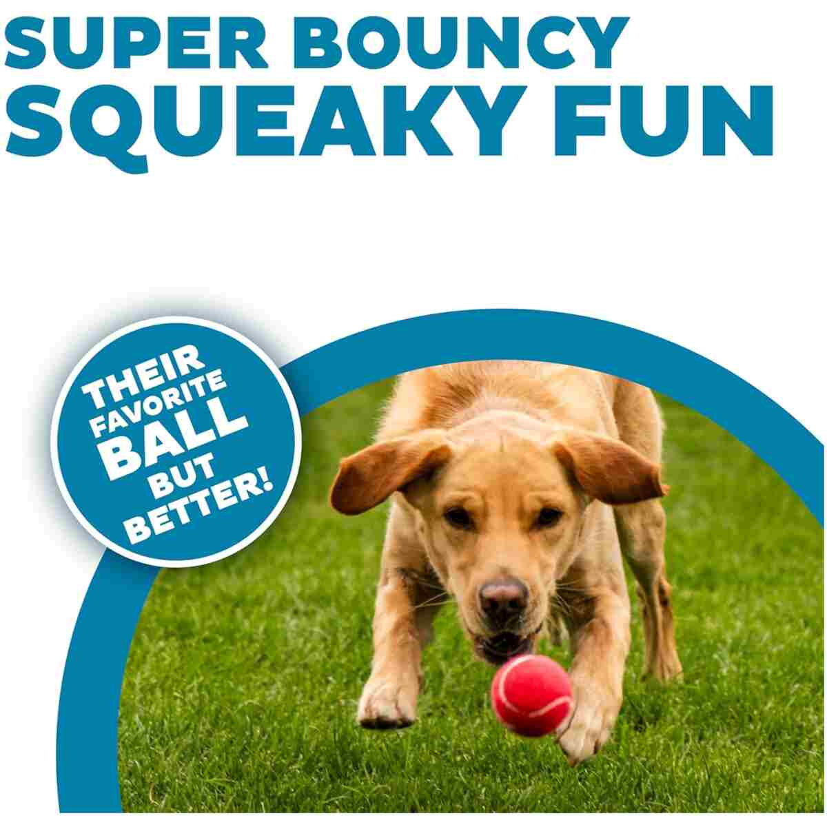 Outward Hound Squeaker Ballz Fetch Dog Toy, Medium - 4 Pack