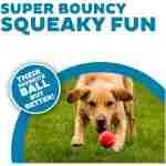 Outward Hound Squeaker Ballz Fetch Dog Toy, Medium - 4 Pack