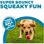 Outward Hound Squeaker Ballz Fetch Dog Toy, Medium - 4 Pack