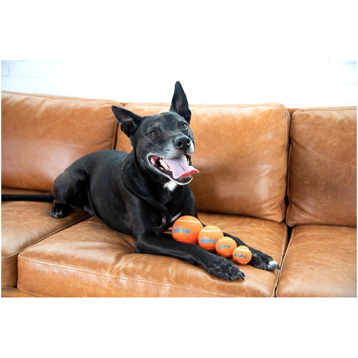 Outward Hound Squeaker Ballz Fetch Dog Toy, Medium - 4 Pack