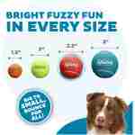 Outward Hound Squeaker Ballz Fetch Dog Toy, Medium - 4 Pack