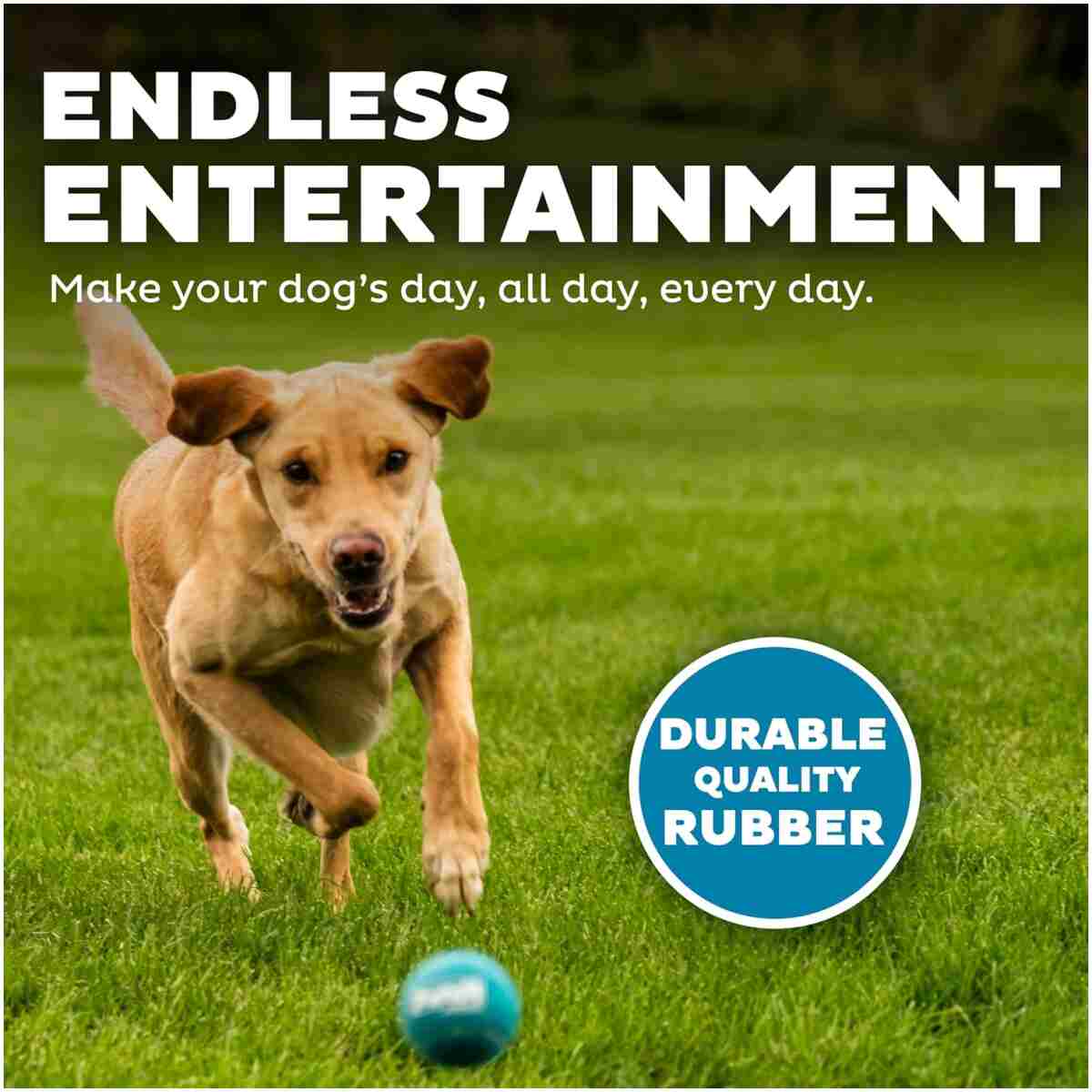 Outward Hound Squeaker Ballz Fetch Dog Toy, Medium - 4 Pack