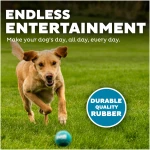 Outward Hound Squeaker Ballz Fetch Dog Toy, Medium - 4 Pack