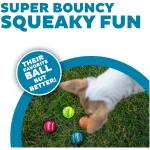 Outward Hound Squeaker Ballz Fetch Dog Toy, Medium - 4 Pack