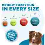 Outward Hound Squeaker Ballz Fetch Dog Toy, Medium - 4 Pack
