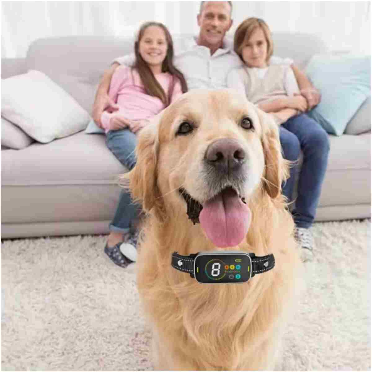 Pee Pet Bark Collar, Intelligent Ultrasonic Bark Stopper, Automatic Barking Control, Long Battery Life with USB Charging, Fits Dogs 8"-25" / 20cm-64cm, Black