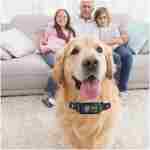 Pee Pet Bark Collar, Intelligent Ultrasonic Bark Stopper, Automatic Barking Control, Long Battery Life with USB Charging, Fits Dogs 8"-25" / 20cm-64cm, Black