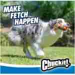 Petmate CHUCKIT! Ultra Fetch Stick Durable Rubber Medium Dog Toy