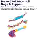 Petstages 狗狗清凉出牙棒 - 适合出牙幼犬的舒缓咀嚼玩具 - 可冷冻，进一步缓解疼痛 - 耐用安全的牙科辅助器，多色，均码