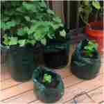 Potato Grow Bags, 4 Pack 10 Gallon with Flap and Handles Planter Pots for Onion, Fruits, Tomato, Carrot - Green