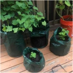 Potato Grow Bags, 4 Pack 10 Gallon with Flap and Handles Planter Pots for Onion, Fruits, Tomato, Carrot - Green