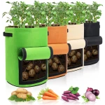 Potato Grow Bags with Flap 10 Gallon, 4 Pack Planter Pot with Handles and Harvest Window for Potato Tomato and Vegetables, Black and Gray