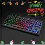 Rii Computer Keyboard, Wired USB Compact Keyboard with RGB Backlit,Silent Keystroke for Home Office,Working or Primer Gaming, Compatible with Laptop,PC,Windows,Mac
