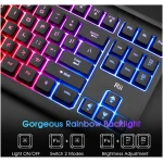 Rii Computer Keyboard, Wired USB Compact Keyboard with RGB Backlit,Silent Keystroke for Home Office,Working or Primer Gaming, Compatible with Laptop,PC,Windows,Mac