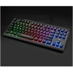 Rii Computer Keyboard, Wired USB Compact Keyboard with RGB Backlit,Silent Keystroke for Home Office,Working or Primer Gaming, Compatible with Laptop,PC,Windows,Mac