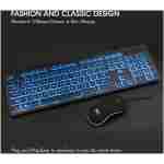 Rii Three Colors Backlit Keyboard and Mouse, Wired Keyboard and Mouse Combo, USB Keyboard and Mouse Set,Quiet Input Gaming Keyboard,Optical RGB Mouse for School,Office,Business...