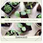 Sereniseed Certified Organic Herb Seeds (10-Pack) – Non GMO, Heirloom – Seed Starting Video - Basil, Cilantro, Oregano, Thyme, Parsley, Lavender, Chives, Sage, Dill Seeds for...