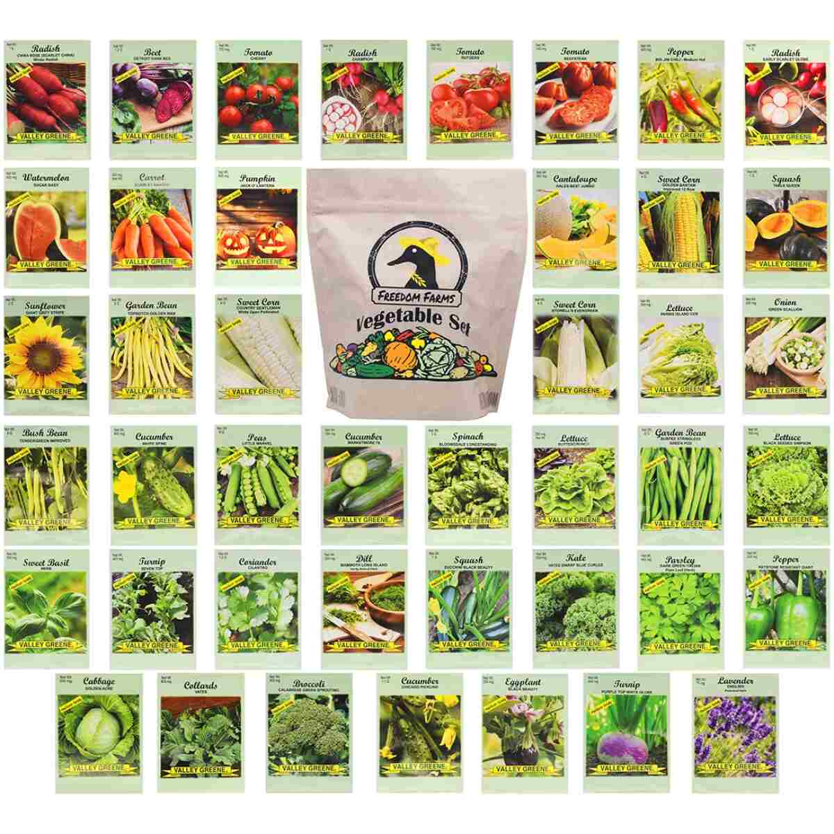 Set of 43 Assorted Vegetable & Herb Seed Packets - Over 10,000 Seeds! - Includes Mylar Storage Bag - Deluxe Garden Heirloom Seeds - 100% Non-GMO